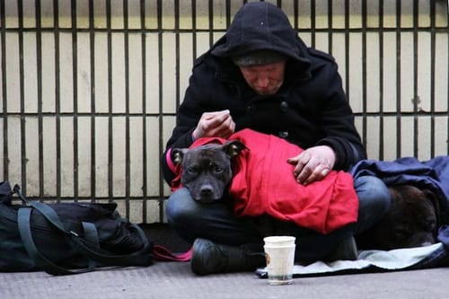 Report: Billionaire investors driving homelessness, housing costs