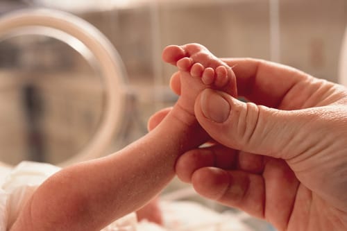 States are left to fill the gap without federal paid leave law