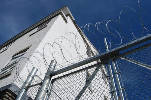 Tiffin man convicted after multi-year Seneca County poaching investigation
