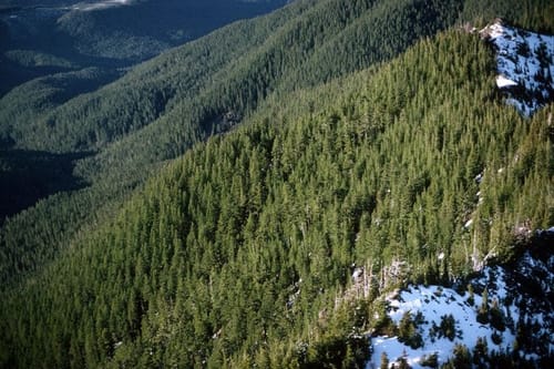 Trump administration advances plan to rescind protections for nearly 45 million wild acres