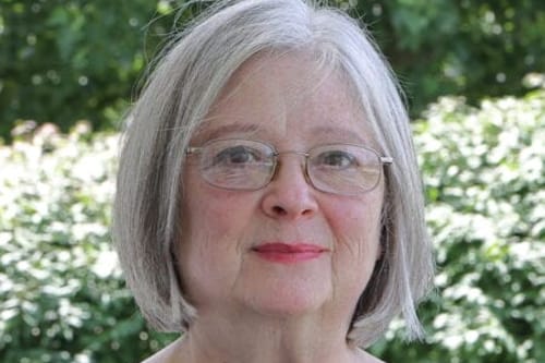 Who is Dianne Selvey? Meet the Clyde woman challenging State Rep. Gary Click in 2024
