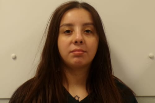 Woman climbs fence, escapes Crosswaeh facility in Tiffin