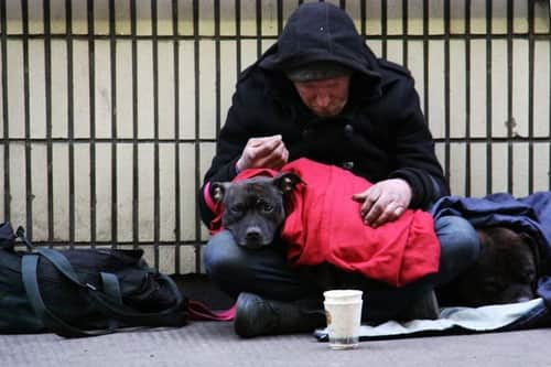 Report: Billionaire investors driving homelessness, housing costs