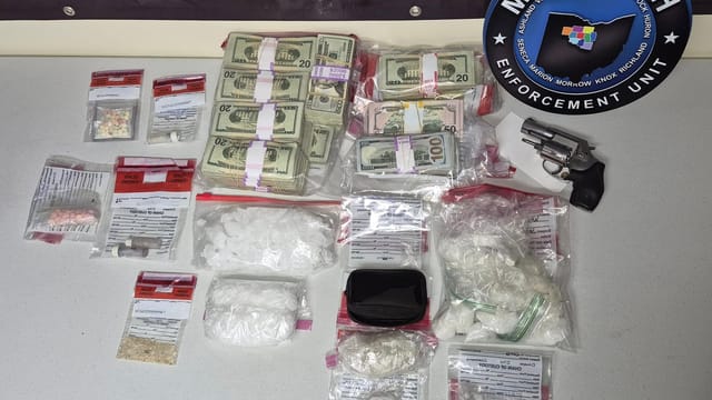 140 guns, meth, $81K seized in Wyandot County raid