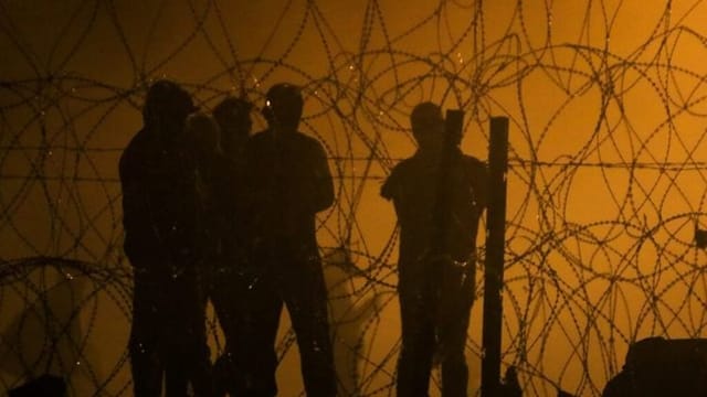 Small Texas law firm run by Trump ally wins contract for legal aid to immigrant kids