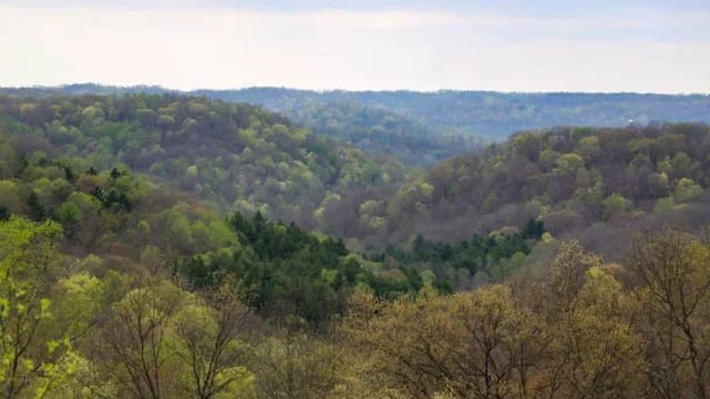 Feds advance plan to open 2,800 acres of Ohio’s Wayne National Forest to fracking