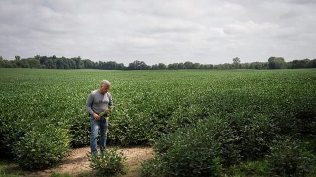 Fossil fuel interests are working to kill solar in one Ohio county. The local newspaper is helping