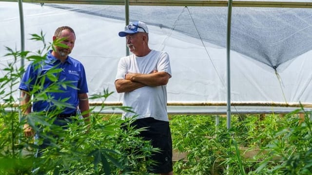 Hemp growers, retailers targeted in section of government shutdown legislation