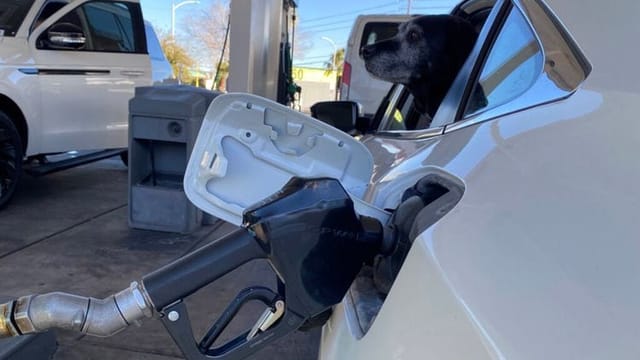 Higher gas prices could extend into next year, says Trump administration energy agency