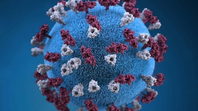 Measles cases reported in Cuyahoga County, Ohio health director urges vaccination