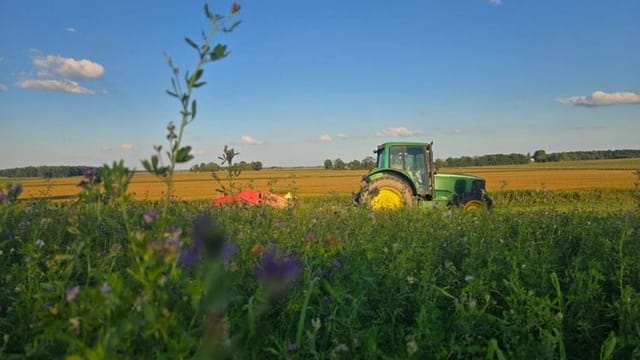 Ohio farmers need help after tariffs, foreign competition bring big struggles