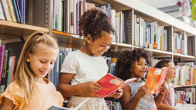 Book bans, censorship, and funding fears challenge Ohio public school librarians