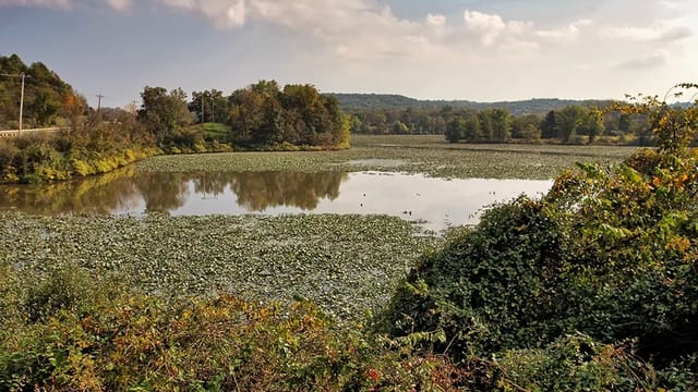 Ohio has made $314 million by opening state lands to fracking