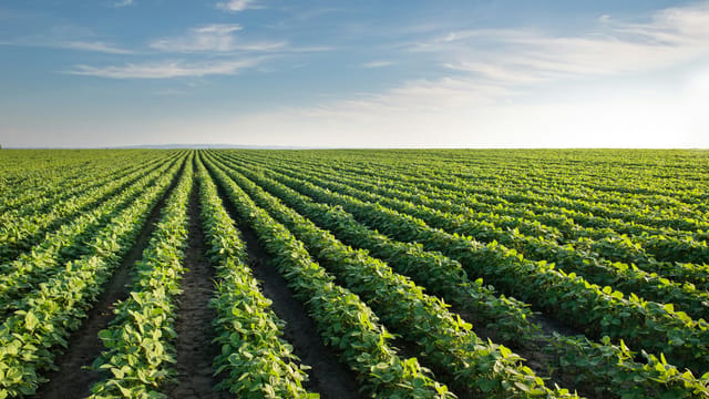 In Ohio, solar is no big threat to farmland