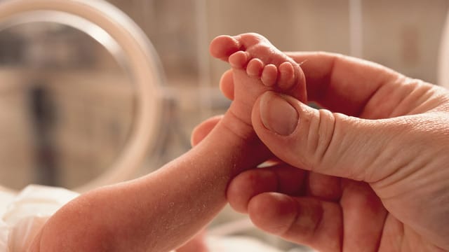 States are left to fill the gap without federal paid leave law