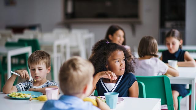 Tiffin City Schools offers free breakfast and lunch to all K-12 students in 2026-27