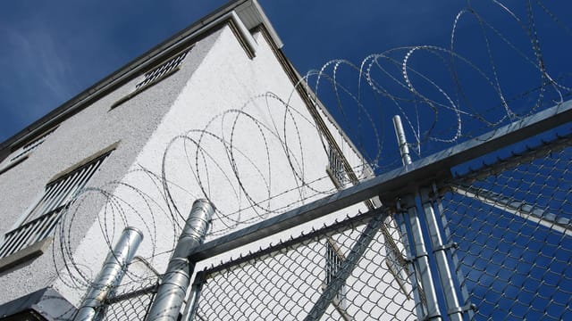 Tiffin man convicted after multi-year Seneca County poaching investigation