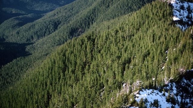 Trump administration advances plan to rescind protections for nearly 45 million wild acres