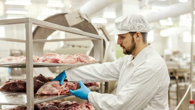 Trump’s tariff moves threaten America’s struggling beef industry, rancher says
