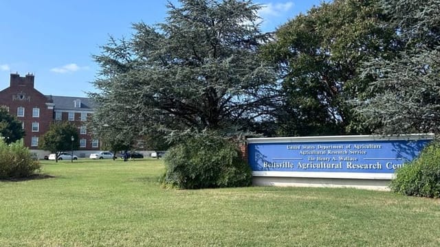 USDA union leaders rally against proposed DC downsizing