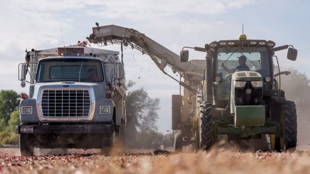 Vermont is first state to ban toxic herbicide paraquat, as others may follow