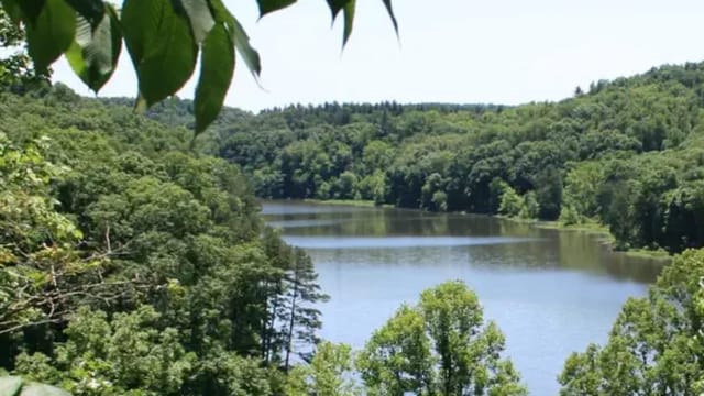 Why are we fracking Ohio’s only national forest?