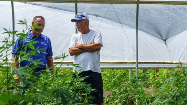 Hemp growers, retailers targeted in section of government shutdown legislation