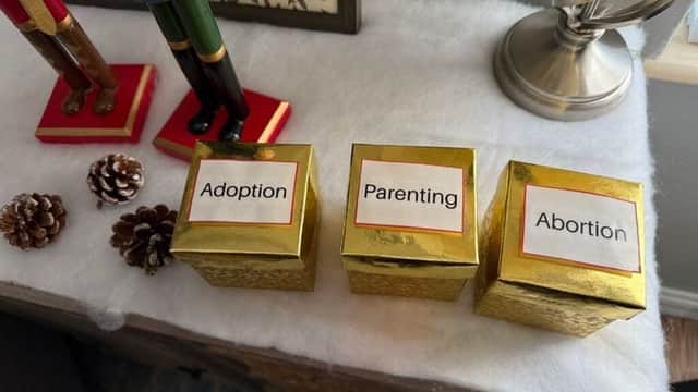 States pass laws allowing pregnancy centers to evade regulation and countersue for damages