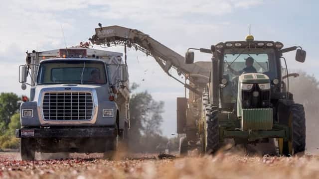 Vermont is first state to ban toxic herbicide paraquat, as others may follow
