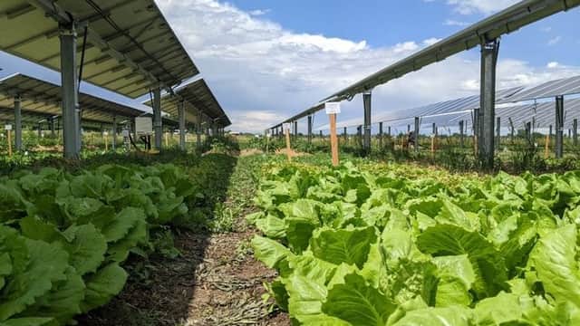What is stopping development of solar and wind energy in Ohio?