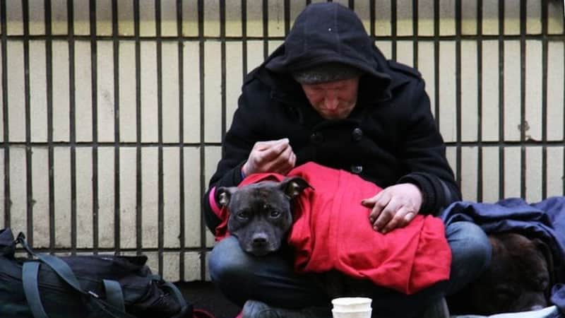 Report: Billionaire investors driving homelessness, housing costs