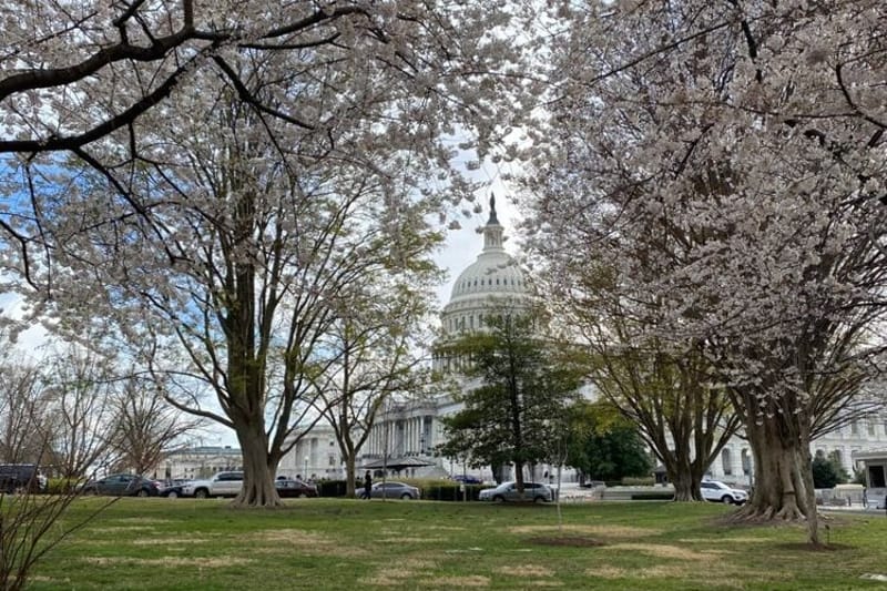 The U.S. Capitol. (Jennifer Shutt/States Newsroom)