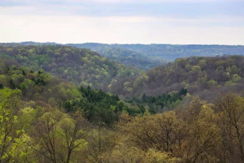 Wayne National Forest (Photo: Taylor McKinnon, Center for Biological Diversity)