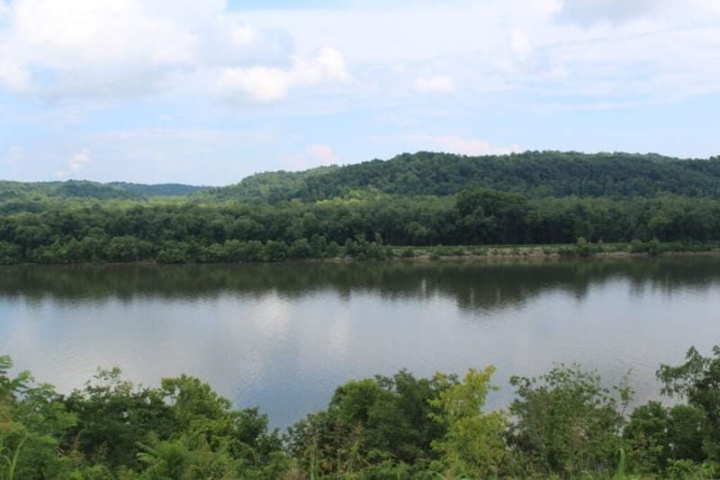 The Ohio River on July 7, 2026. (Photo by Megan Henry, Ohio Capital Journal).