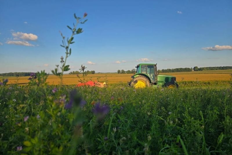 A tractor sits on a Chris Gibbs' Shelby County farm. (Photo courtesy of Chris Gibbs)