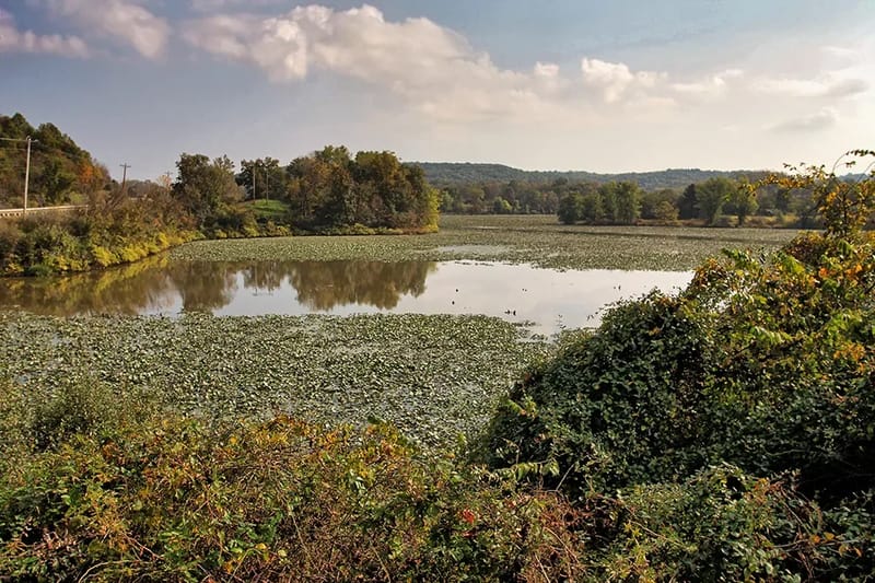 A file photo from Salt Fork Wildlife Area, which surrounds Salt Fork State Park. Credit: ODNR