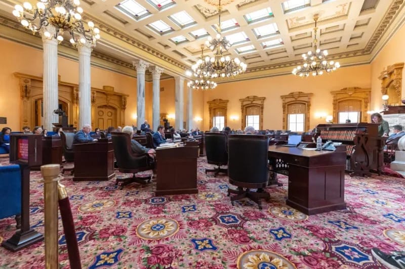 The Ohio Senate chamber on May 28, 2025. Credit: Mark Naymik
