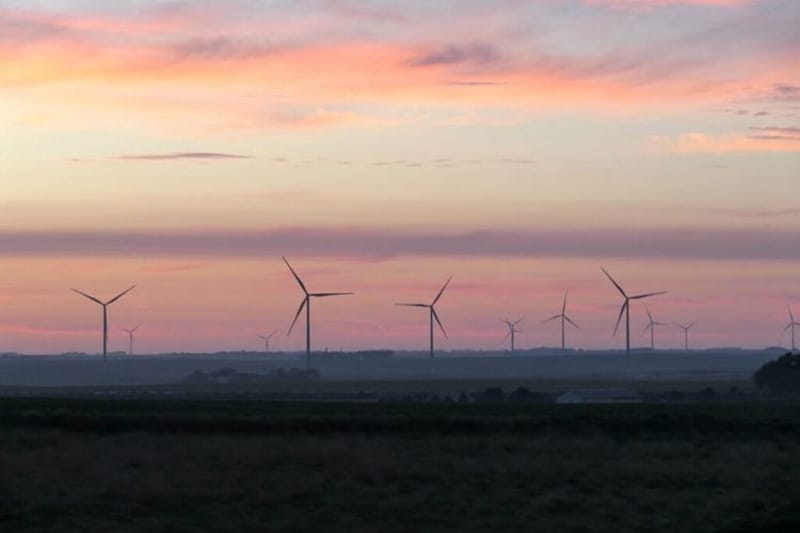Wind turbines in southwest Minnesota in 2024. The Trump administration has halted Department of Defense reviews for onshore wind turbines, freezing scores of projects. (Photo by Max Nesterak/Minnesota Reformer)