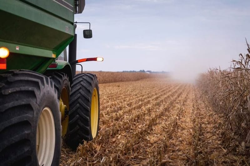 A combine harvests corn on an Illinois farm in the fall. (Photo courtesy of Lance Muirhead/Muirhead farms)
