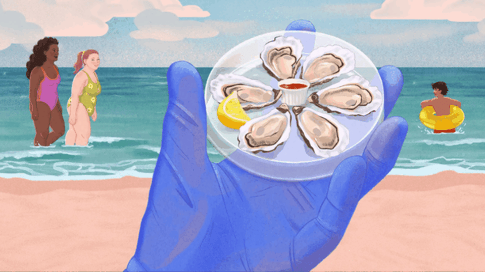 A deadly bacteria is creeping up the Atlantic Coast. How worried should you be?