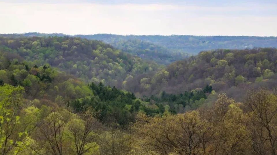 Feds advance plan to open 2,800 acres of Ohio’s Wayne National Forest to fracking