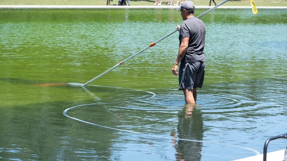 An Ohio company won a no-bid contract to keep the Reflecting Pool clear. It turned green instead.