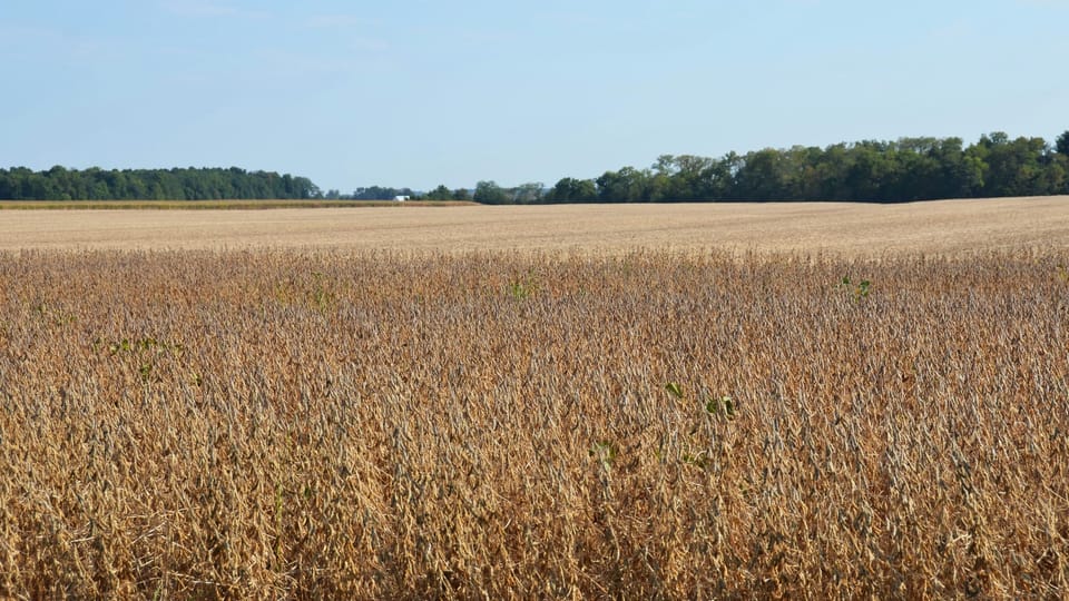 Ohio farmers see one-year, 74% loss in Chinese sales due largely to Trump tariffs, report shows