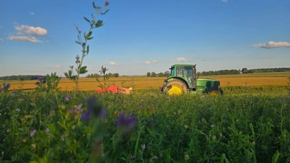 Ohio farmers need help after tariffs, foreign competition bring big struggles