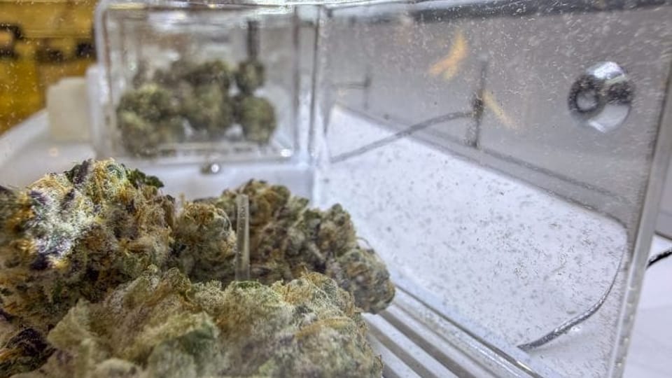 Ohio’s recreational marijuana prices are higher than what Michigan customers pay
