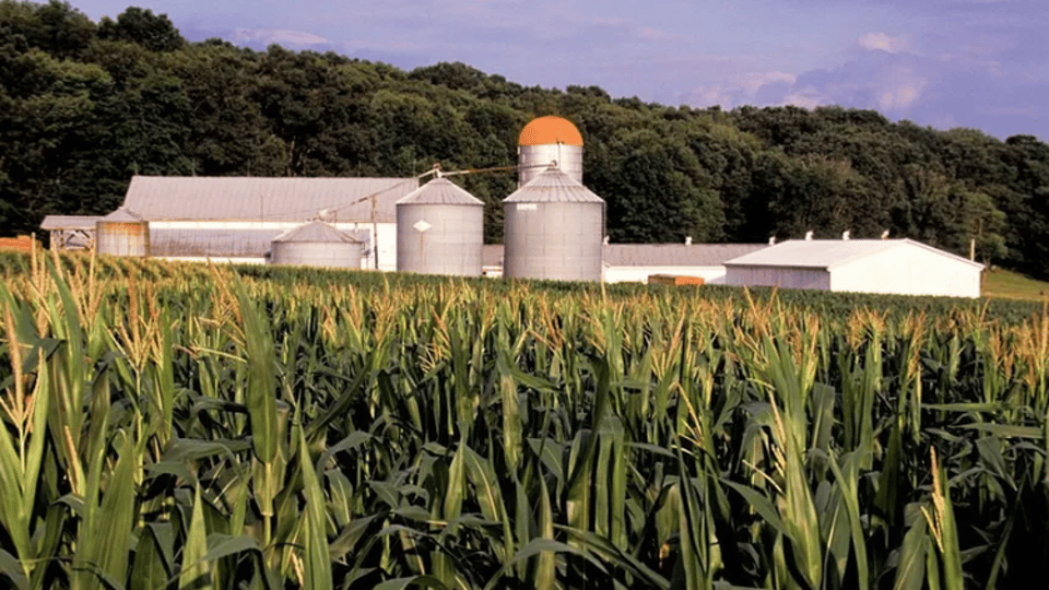 This Ohio county banned wind and solar. Now, residents are pushing back.