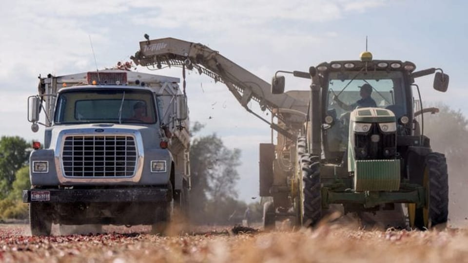 Vermont is first state to ban toxic herbicide paraquat, as others may follow