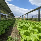 What is stopping development of solar and wind energy in Ohio?