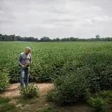 Fossil fuel interests are working to kill solar in one Ohio county. The local newspaper is helping