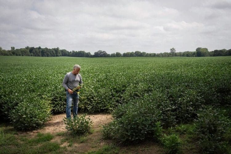 Fossil fuel interests are working to kill solar in one Ohio county. The local newspaper is helping